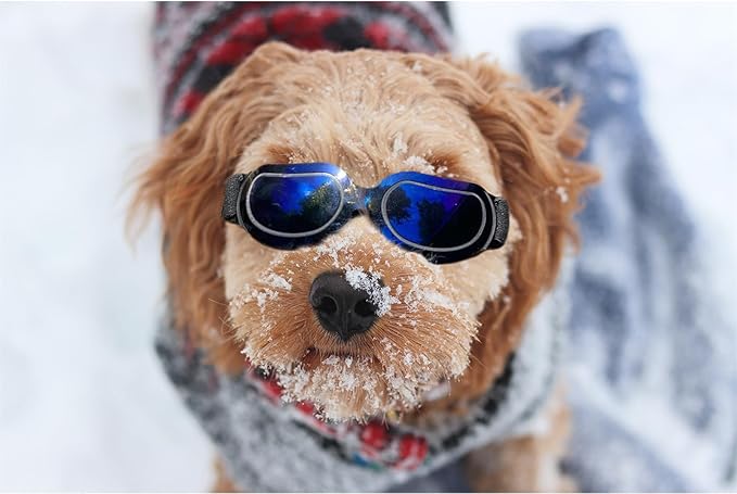 ENJOYING Dog Sunglasses Small Dog Goggles Anti-UV Doggy Glasses for Small Dogs Big Cats Impact/Wind/Dust/Fog Proof Puppy Eye Protection