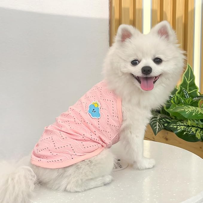 Yanmucy 2 Pieces Dog Summer Clothes Cute Embroidery Dog Striped Tank Top Vest Breathable Puppy Sleeveless Shirt for Small Dogs Cats (Pink+Blue, Small)