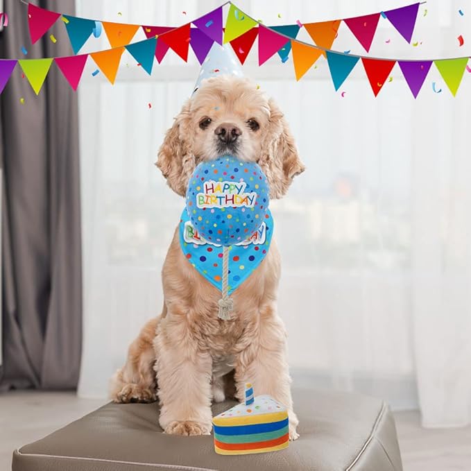 BINGPET Dog Birthday Bandana Set with Cake