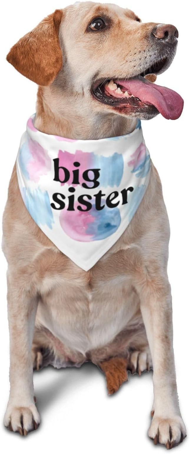 Big Sister Dog Bandana,Baby Announcement Dog Bandana,Gender Reveal,Pet Scarf, Pet Accessories for Photo Props Accessories (Color block)
