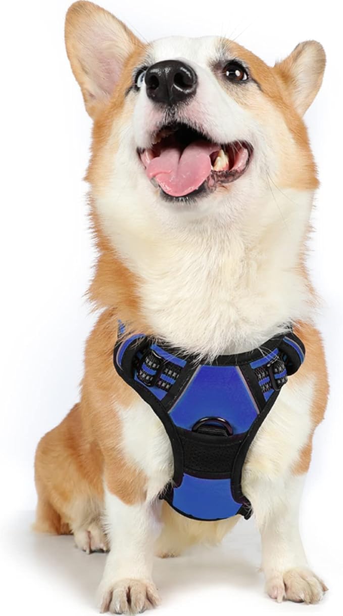 rabbitgoo Dog Harness 2 Leash