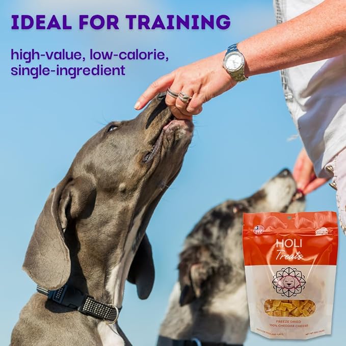 HOLI Freeze Dried Cheddar Cheese Dog Treats 100% All (5 Ounce)