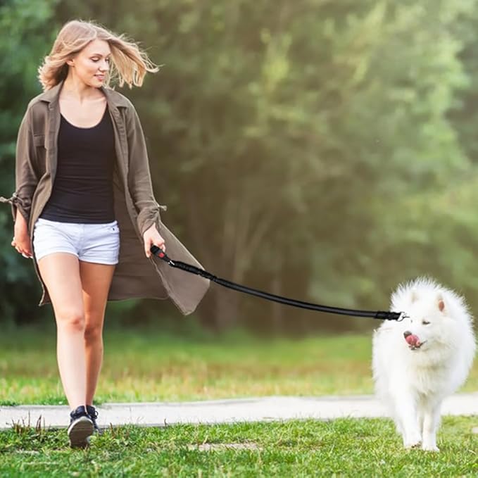 2 Packs Dog Seat Belt