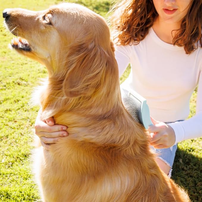 Pet Slicker Brush With Soft Massage Grooming Stainless Steel Pins