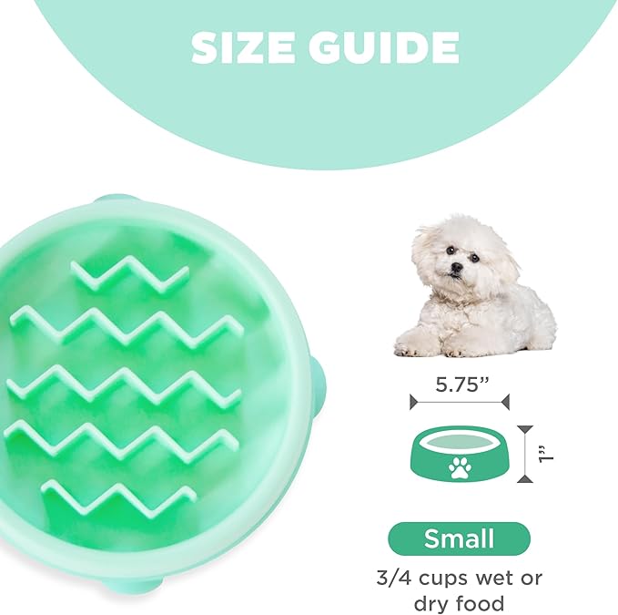 Outward Hound Fun Feeder Slo Bowl Slow Pet