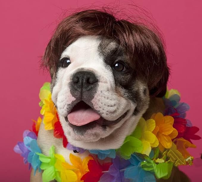 Dog Wig Pet Costumes