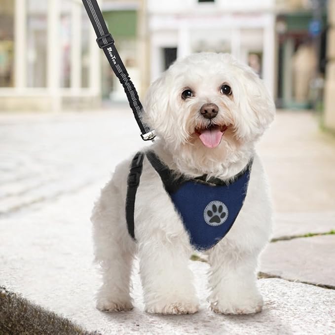 SlowTon Dog Seat Belt Harness for Car