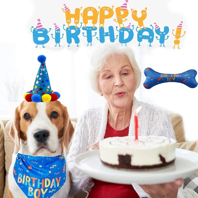 Dog Birthday Boy Bandana Hat Toy Set Pet