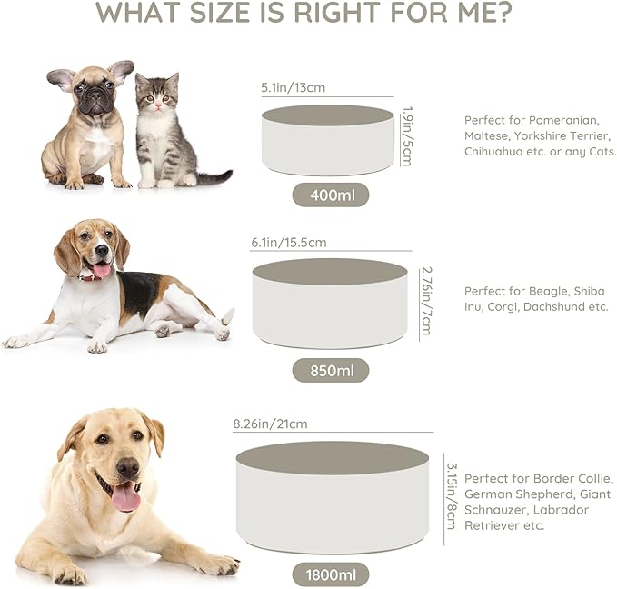 SPUNKYJUNKY Ceramic Dog and Cat Bowl Set with Wooden Stand (7.6 Cups, 2 ×