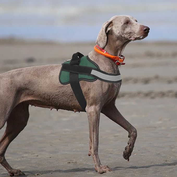 Bolux Dog Harness