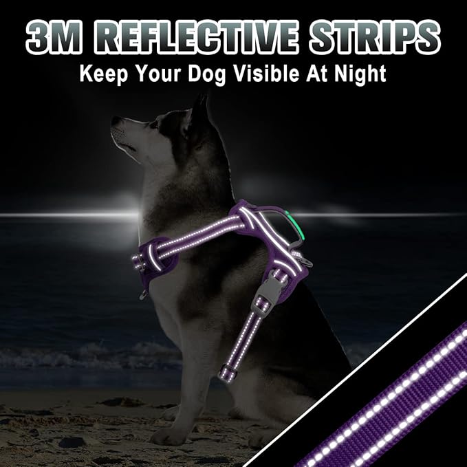 BARKBAY No Pull Dog Harness Large Step in Reflective Dog Harness with Front Clip and Easy Control Handle for Walking Training Running with ID tag Pocket(Purple