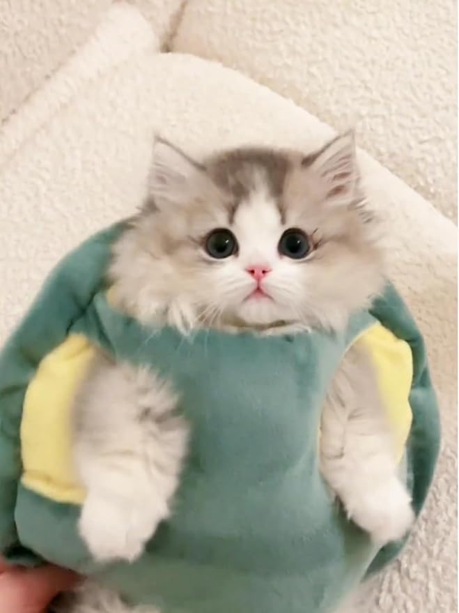Cute Cat Costumes Turtle Shell Kawaii Kitten Clothes Dog Puppy Vest Pet Apparel (Medium