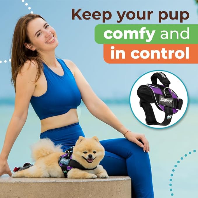 Joyride Harness 2.0 3 Leash