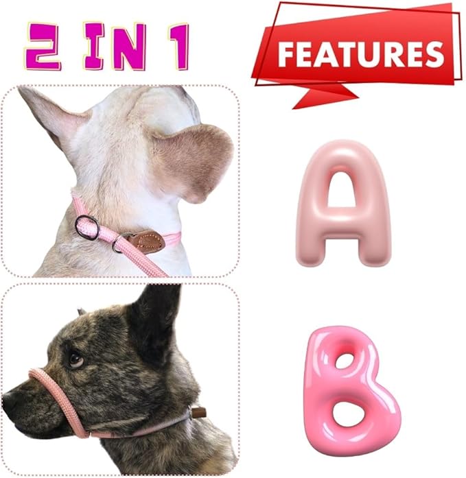 Slip Leads for Dogs (5 Foot 1/2")