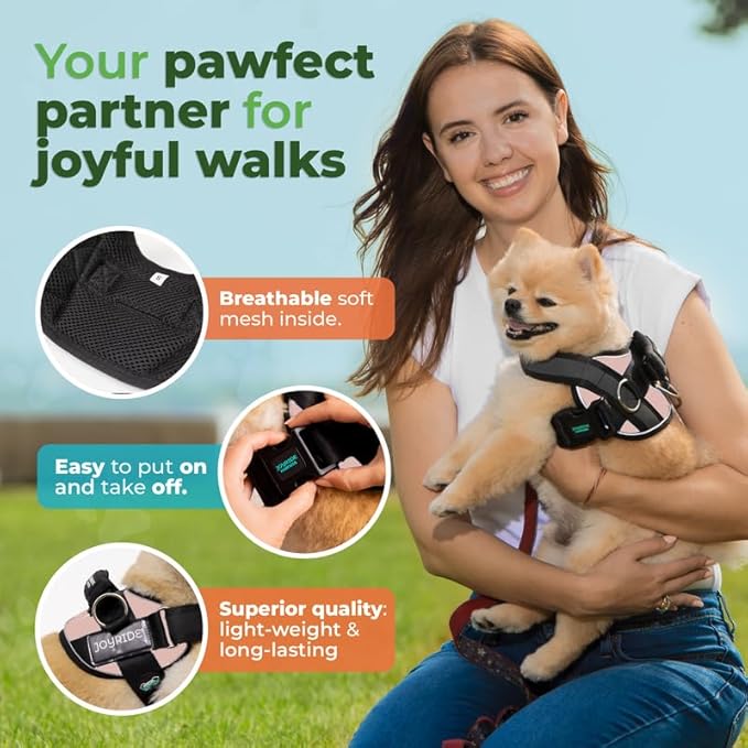 Joyride Harness 2.0 3 Leash