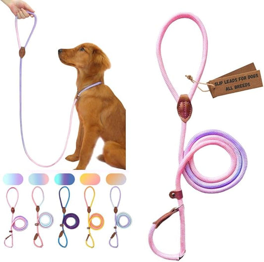 Slip Leads for Dogs (5 Foot 4/16")