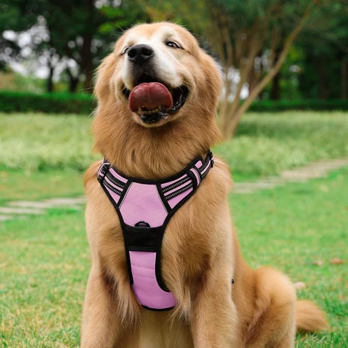 rabbitgoo No-Pull Pet Harness with 2 Leash Clips
