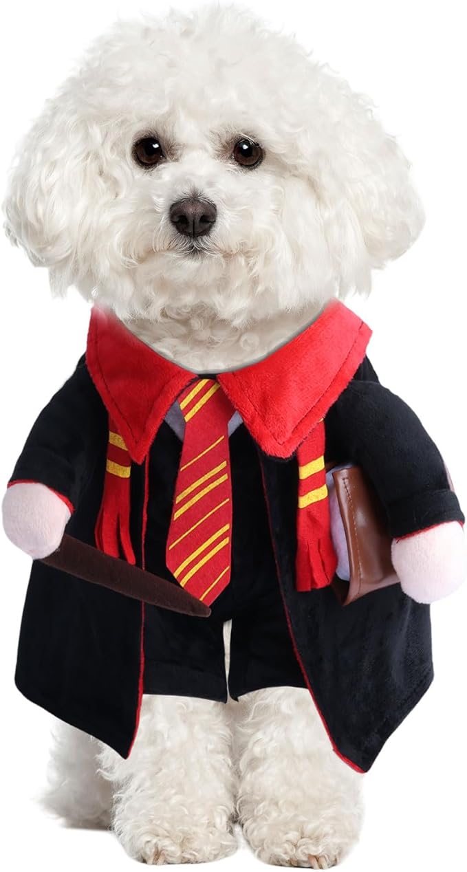 DELIFUR Dog Halloween Wizard Costume