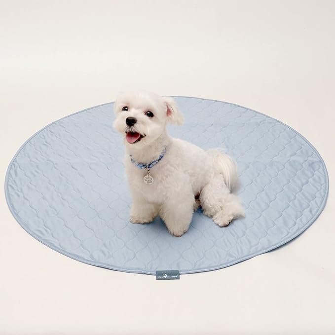 Paw Inspired Round Washable Pee Pads for Dogs (36" (2