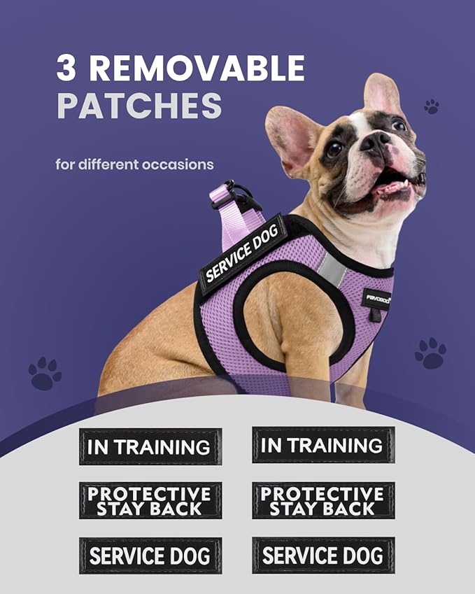 FAYOGOO Service Dog Vest for Small Breed 6PCS Removable