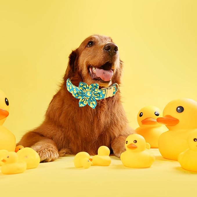 Maca Bates Flower Green Duck Dog Collar