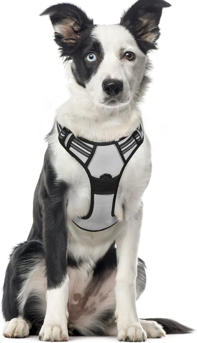 rabbitgoo Dog Harness 2 Leash