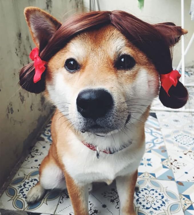 Dog Wig Pet Costumes