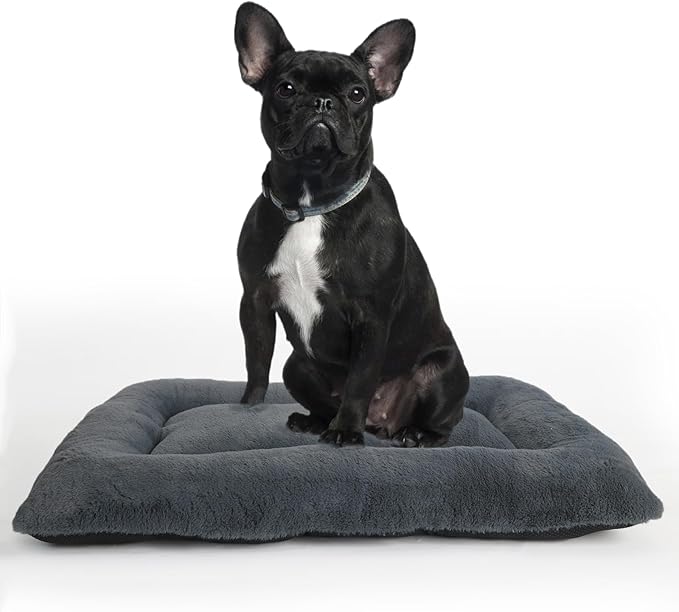 24 Inch Dog Crate Bed Orthopedic 24 x 18 Dark