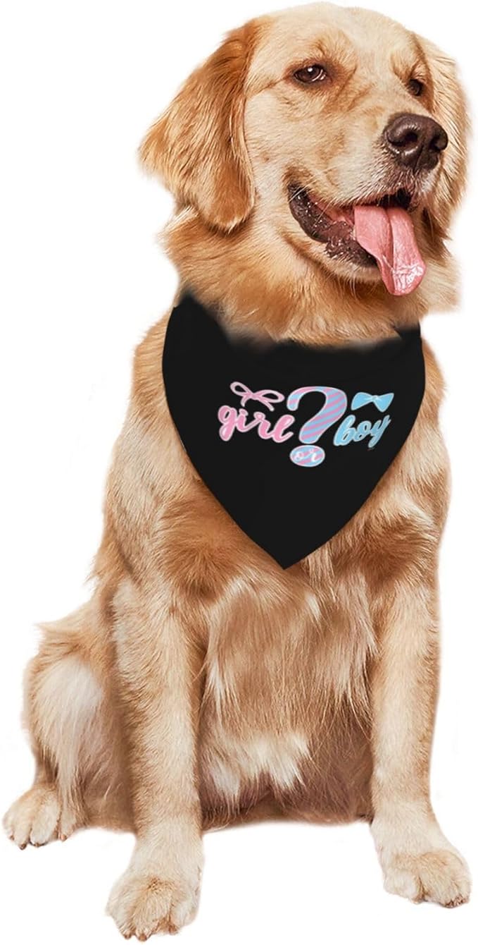 He Or She What Will It Be? Gender Reveal/Baby Announcement Dog Bandana,Pet Neckerchief for Pets Daily Wear Photo Prop Party Supplies (Black)