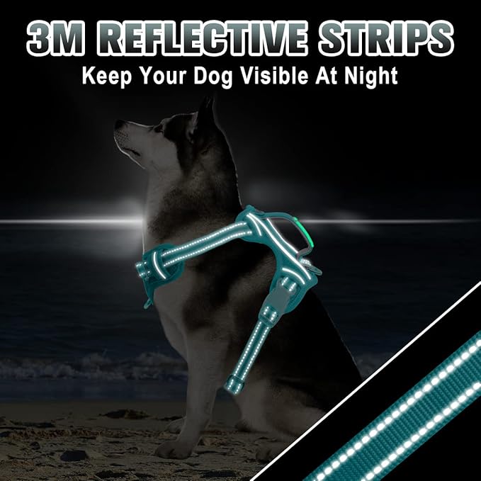 BARKBAY No Pull Dog Harness Large Step in Reflective Dog Harness with Front Clip and Easy Control Handle for Walking Training Running with ID tag Pocket(Ocean Blue