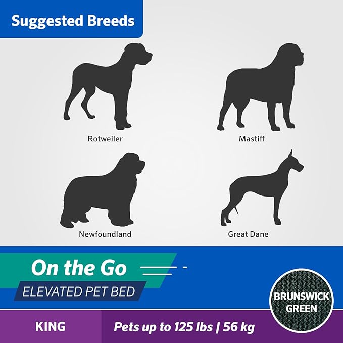 Coolaroo On The Go Cooling Elevated Dog Bed