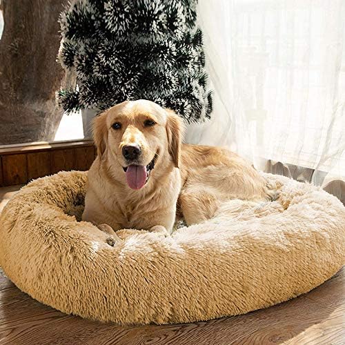 MFOX Calming Dog Bed (L/XL/XXL/XXXL) for Medium and 25/35/55/100lbs