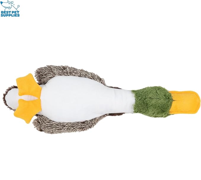 Best Pet Supplies Interactive Mallard Mates Dog Toy with Crinkle and Squeaky Enrichment for Small and Medium Breed Puppies or Dogs