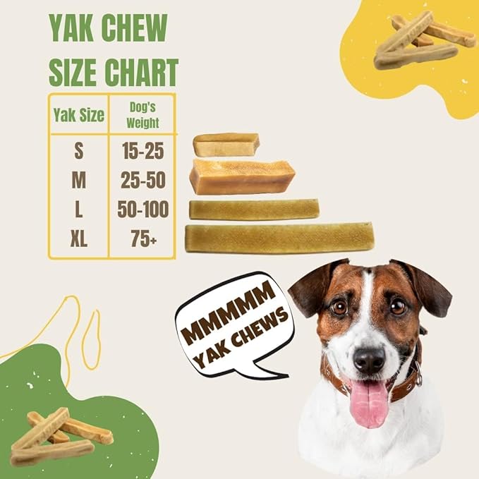 EcoKind Premium Gold Yak Cheese Himalayan Dog Chews 4 Chews