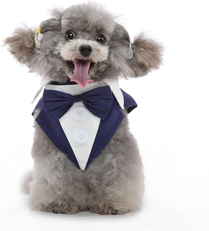 Puppy Tuxedo with Detachable Bowtie Prom Wedding Formal Wear Prince Costume for Small Dog (Medium