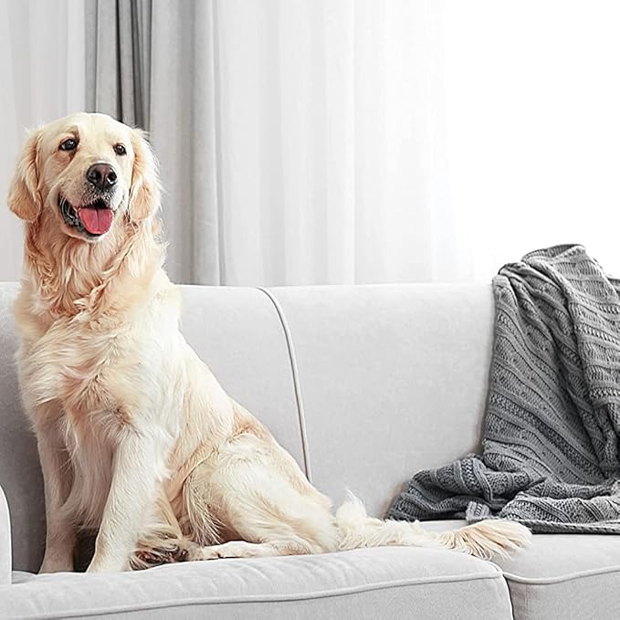 Zep Pet Stain and Odor Remover 32 Ounce ZUPETODR32 (Cases 4)