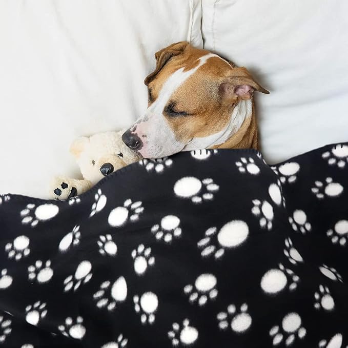 Dog Blanket Puppy Blanket Black Cat Blanket 6 24" x 28" Fleece