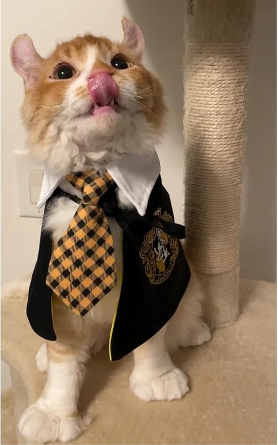 Cat Costumes 3 Piece Set with Glasses and Neckties