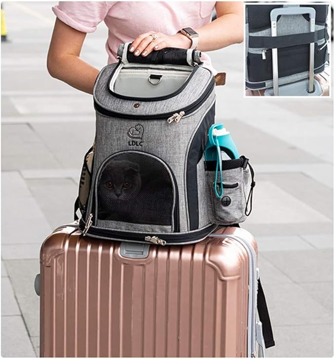 Pet Carrier Backpack for Small Cats and Dog