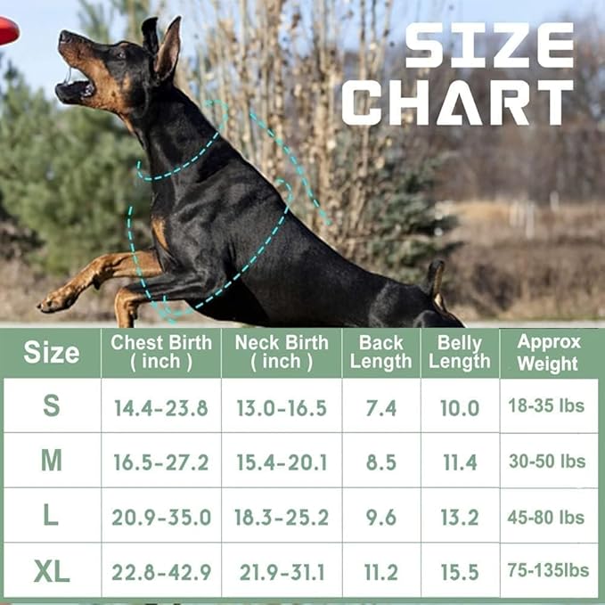BUMBIN Tactical Dog Harness for Small Dogs No Pull