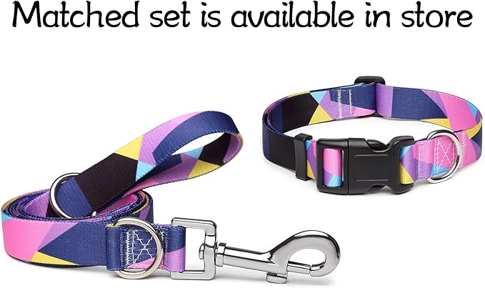 Adjustable Dog Collar with Patterns