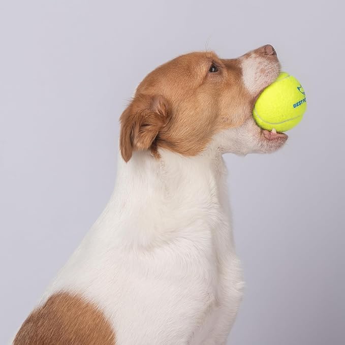 Best Pet Supplies Squeaky Tennis Toys for Dogs 4-Pack, Heavy-Duty