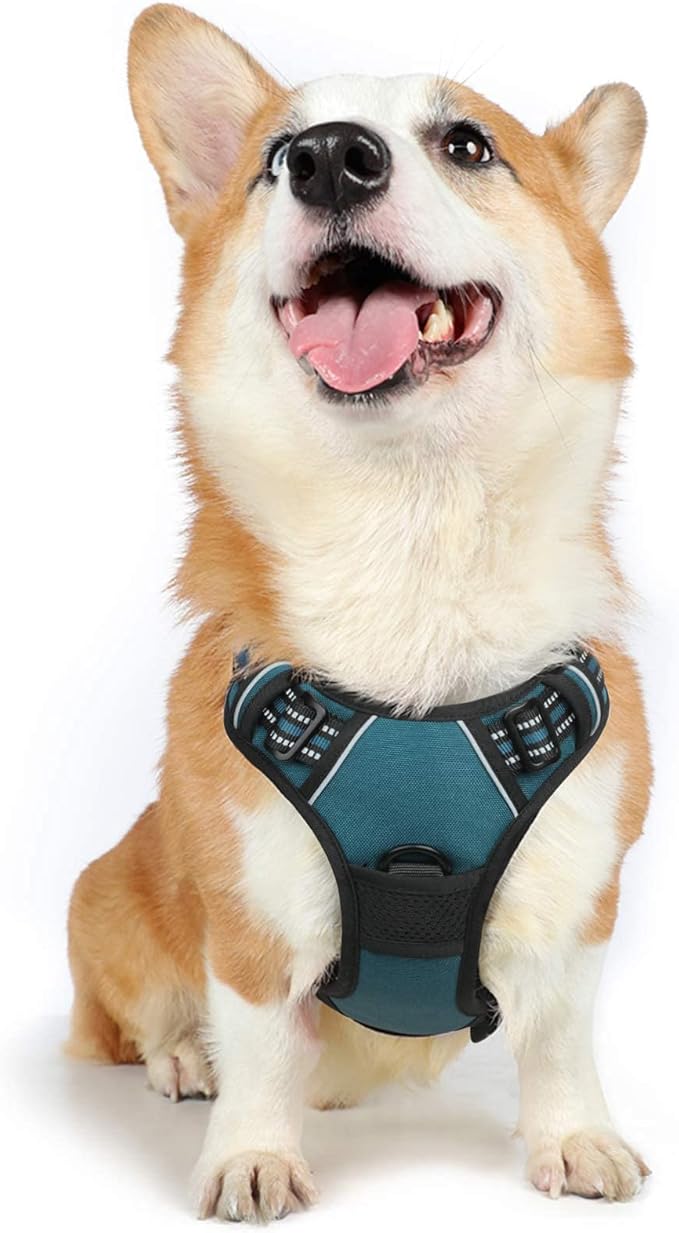rabbitgoo Dog Harness 2 Leash