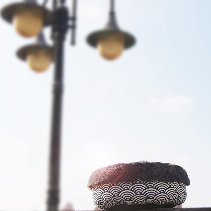 Modern Dog Bed Dog Beds for Small Dogs 19 inches 15 lbs