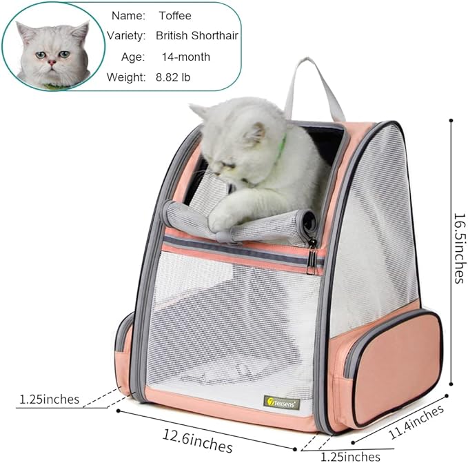 Texsens Innovative Traveler Bubble Backpack Pet Carriers