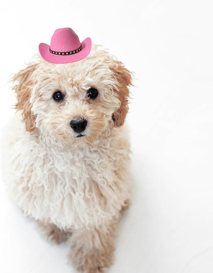 Dog Cowboy Hat Cat Cowboy Hat Mini Cowboy Hat for Dogs Cat Pet Cowboy Costume with Bandana Scarf Holiday Halloween Pet Party Decoration (pink