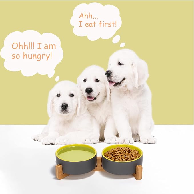 SPUNKYJUNKY Ceramic Dog and Cat Bowl Set with Wooden Stand (13.5OZ) & (28.7OZ) & (1.7 Cups, 2 ×