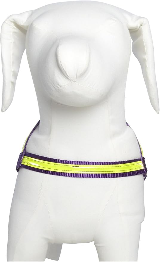 Purple Night Lite Harness