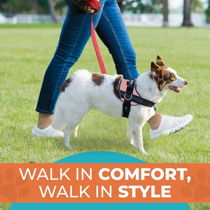 Joyride Harness 2.0 3 Leash