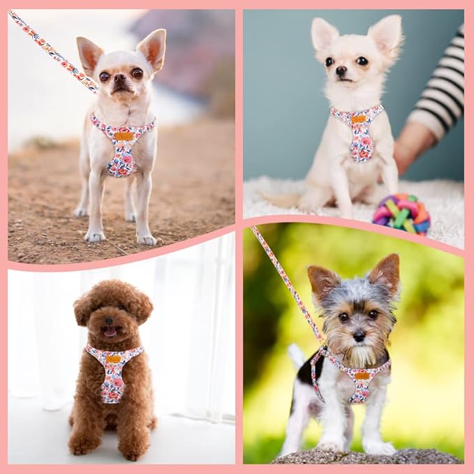 SlowTon No Pull Dog Harness with Leash